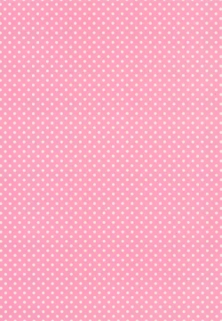 Page 26 of Kore ga Hontou no Anzio-sen desu