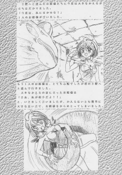 Page 19 of Datenshi Hokusho