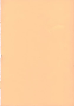 Page 41 of LeLe Pappa Vol.10