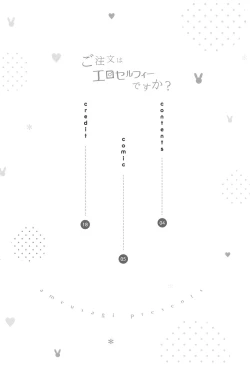 Page 3 of Gochuumon wa Ero Selfie desu ka?