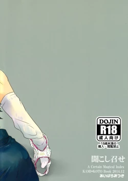 Page 14 of Kikoshimese