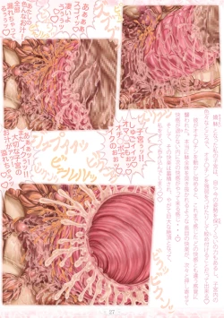 Page 33 of PrelfIllust No.4.5 NovelizeComic