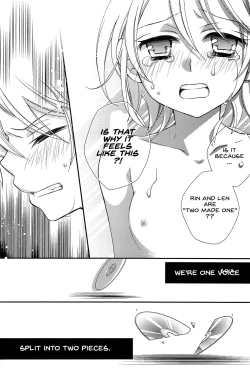 Page 27 of Kagamine Len x Rin Seijin Muke Sairokushuu RECORD Rimen