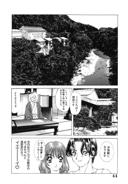Page 45 of Inshin
