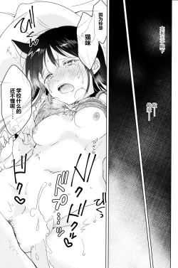 Page 17 of Neko wa Ongaeshi nado Shinai. | 猫才不会报恩