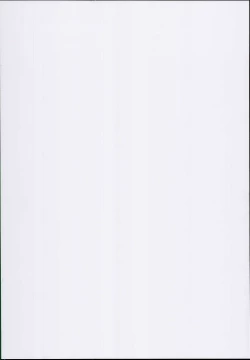 Page 2 of COMBITCH Bonnou Taisan Pakopako Daisakusen!!