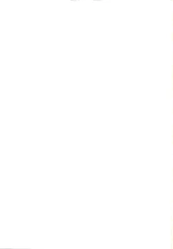 Page 27 of Hatsujouki no Nyan Koishi