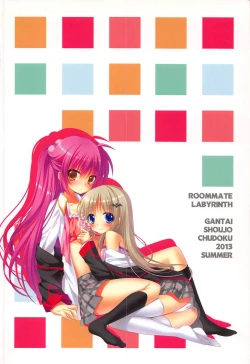 Page 33 of ROOMMATE LABYRINTH