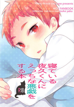Download Neteiru Yaku-kun ni Ecchi na Itazura o suru Hon