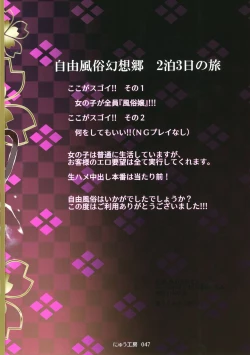 Page 44 of Oidemase!! Jiyuu Fuuzoku Gensoukyou 2kka no Tabi Musubi