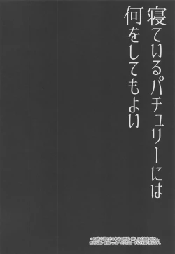 Page 3 of Neteiru Patchouli ni wa Nani o Shite mo Yoi