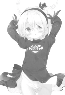 Page 2 of YoRHa 2B-gata Shoushizai Kitai no Toriatsukaidoki ni Okeru Chuui Jikou Tsuutasu