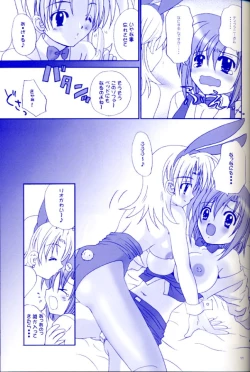 Page 10 of Rio Premium