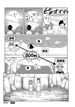 Page 137 of Feti-Rarecco