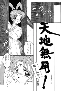 Page 4 of PRETTY LEMON