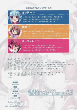 Page 13 of White to Navy 03