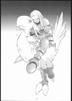 Page 10 of Final Fantasy Tactics Hon