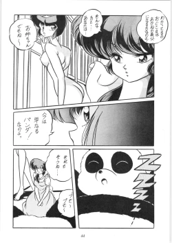 Page 45 of C-COMPANY SPECIAL STAGE 10