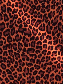 Page 24 of Maasan ni Hikkakarimashita