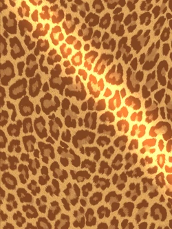 Page 8 of Maasan ni Hikkakarimashita