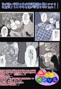 Page 25 of Joshikousei Kazami Yuuka Chikan Densha Higai