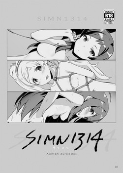 Download SIMN1314
