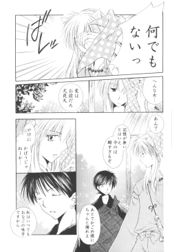 Page 17 of Ryuusei Ryodan