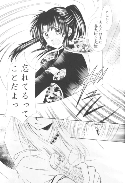 Page 21 of Ryuusei Ryodan