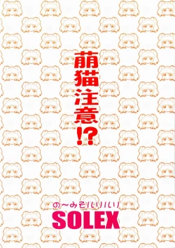 Page 34 of RURIMIX SP3