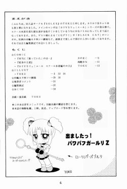 Page 3 of Rurimix SP5