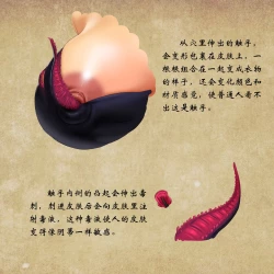 Page 17 of D vs N Ch. 2