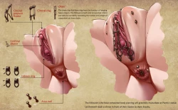 Page 4 of D vs N Ch. 2