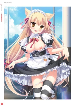 Page 35 of Hulotte Publicity Visual book