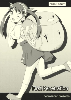 Page 1 of First Penetration