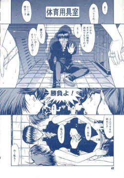 Page 41 of Teshigoto guidebook