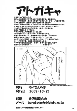 Page 41 of Saraba Raiden LaboJunbigou