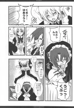 Page 12 of SLOE BERRY EX