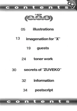 Page 3 of (C49) [Z-Vector(Various)] (0.0.0)(0.0.1) (Various)