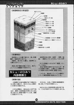 Page 32 of Maidroid