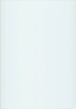 Page 2 of Shikyuu Shounin Mesugakis