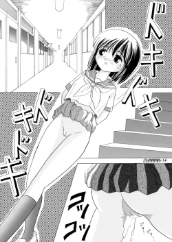 Page 13 of Sachina no Koukou Nikki 1