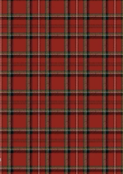 Page 15 of Youichi ga Maid Fuku o Kite kureru Hon