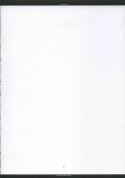 Page 19 of A moonlit garden