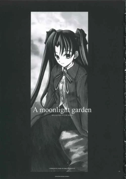 Page 2 of A moonlit garden