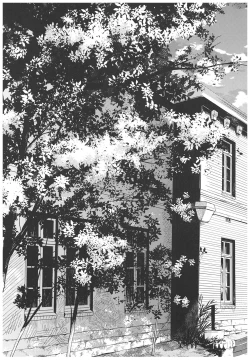 Page 7 of Haruhira Hakushaku-ke no JijouSoushuuhen