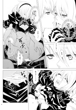 Page 19 of Sei no honnou