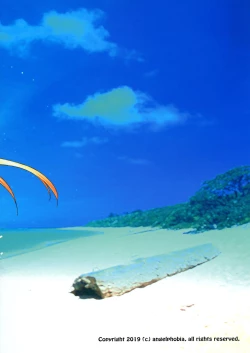 Page 24 of Futari dake no Minami no Shima de Nero to Icha Pako 2