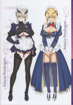 Page 15 of Chaldea Maid II