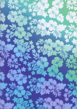 Page 27 of Chaldea Life III