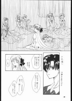 Page 39 of Seirei Yakyoku Chokan Rosenfeld 5